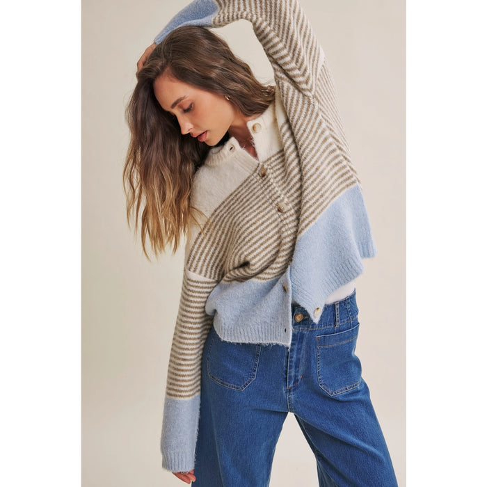 In February Stripe Colorblock Cardigan