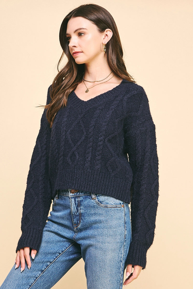 Pinch Textuerd Cable Knit Crop Sweater