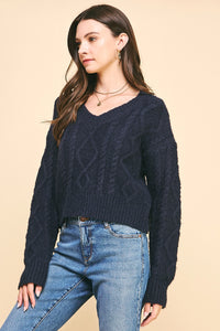 Pinch Textuerd Cable Knit Crop Sweater