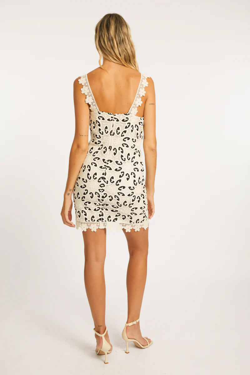 Caballero Manet Lace Dress