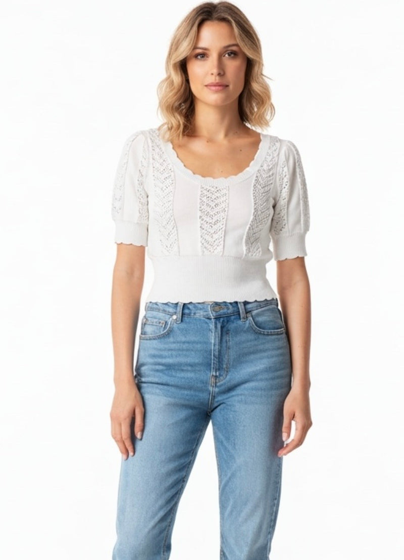 Autumn Cashmere Scoop Neck Pointelle Sweater