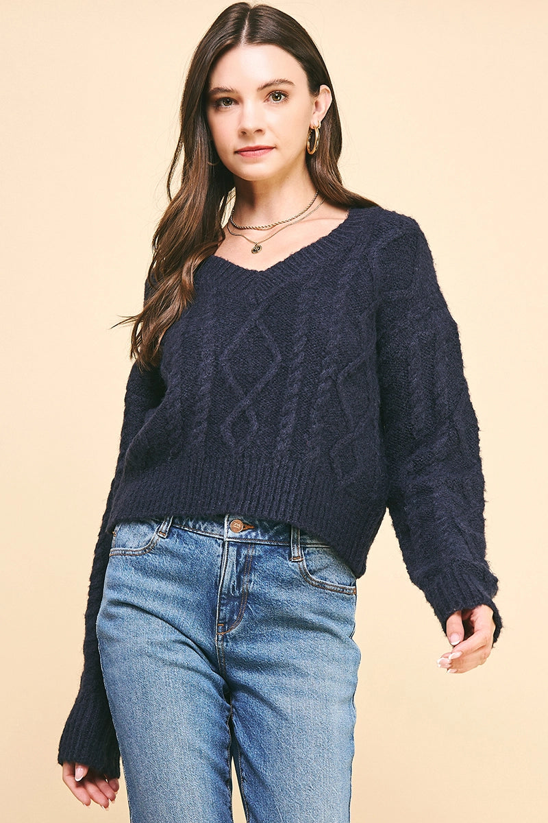 Pinch Textuerd Cable Knit Crop Sweater