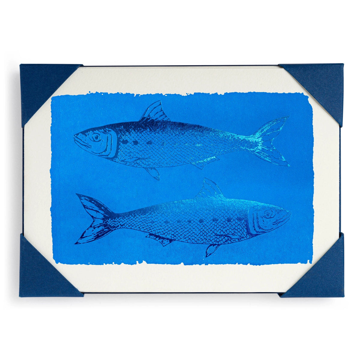 The Archivist Notelet Card Sets