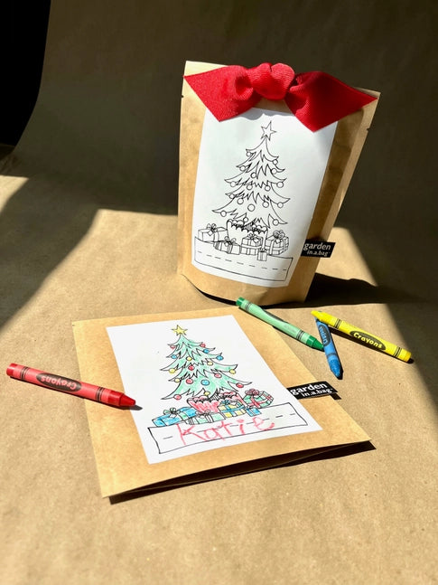 Potting Shed Creations Kids Christmas Tree Garden in a Bag