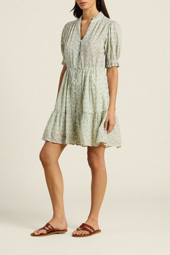 Trovata Birds of Paradis Phoebe Nantucket Ditsy Print Dress