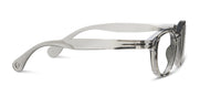 Peepers Asher Gray Readers